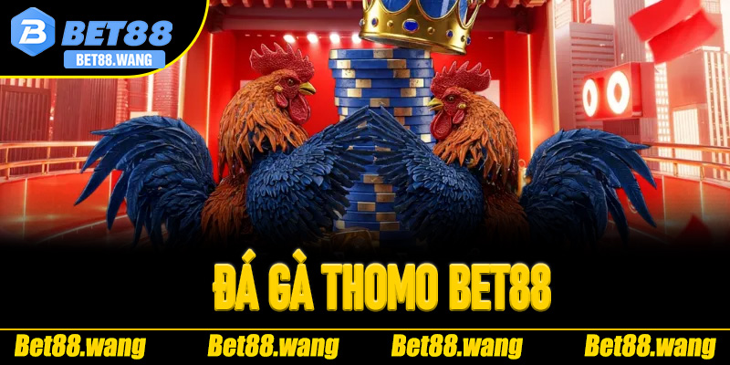 Đá Gà Thomo Bet88